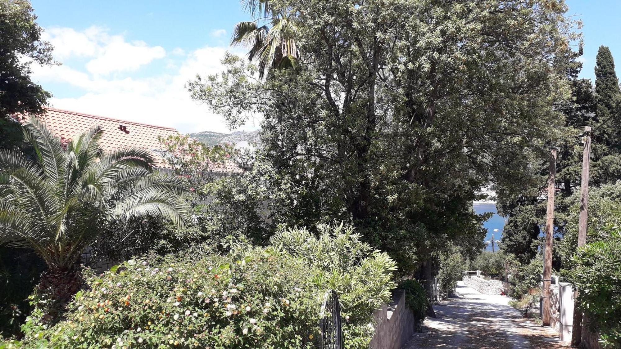 Apartments Marija - 50M From Beach Zaton  Exterior photo